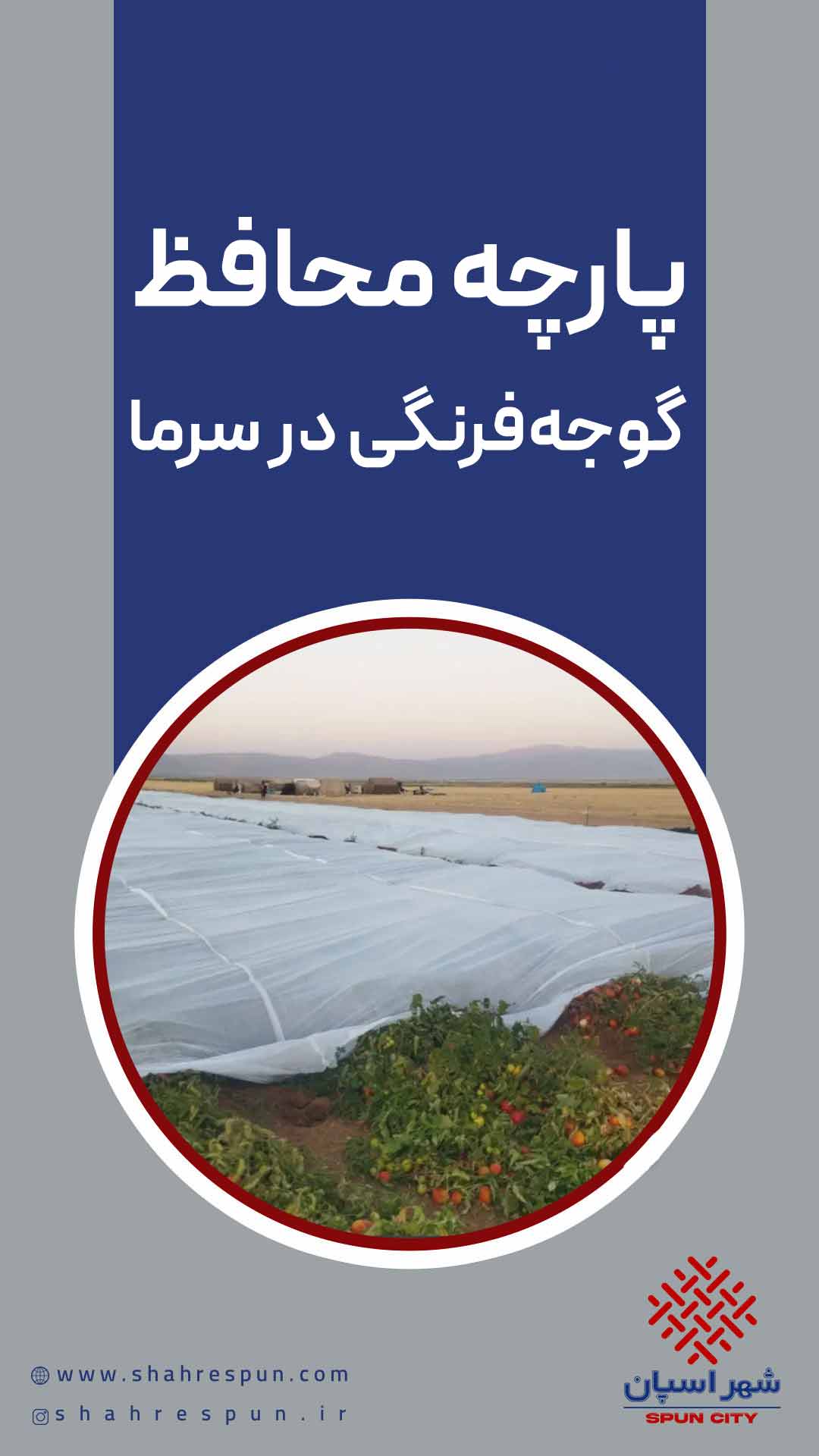 پارچه محافظ گوجه‌فرنگی در سرما | بهترین اسپان‌...