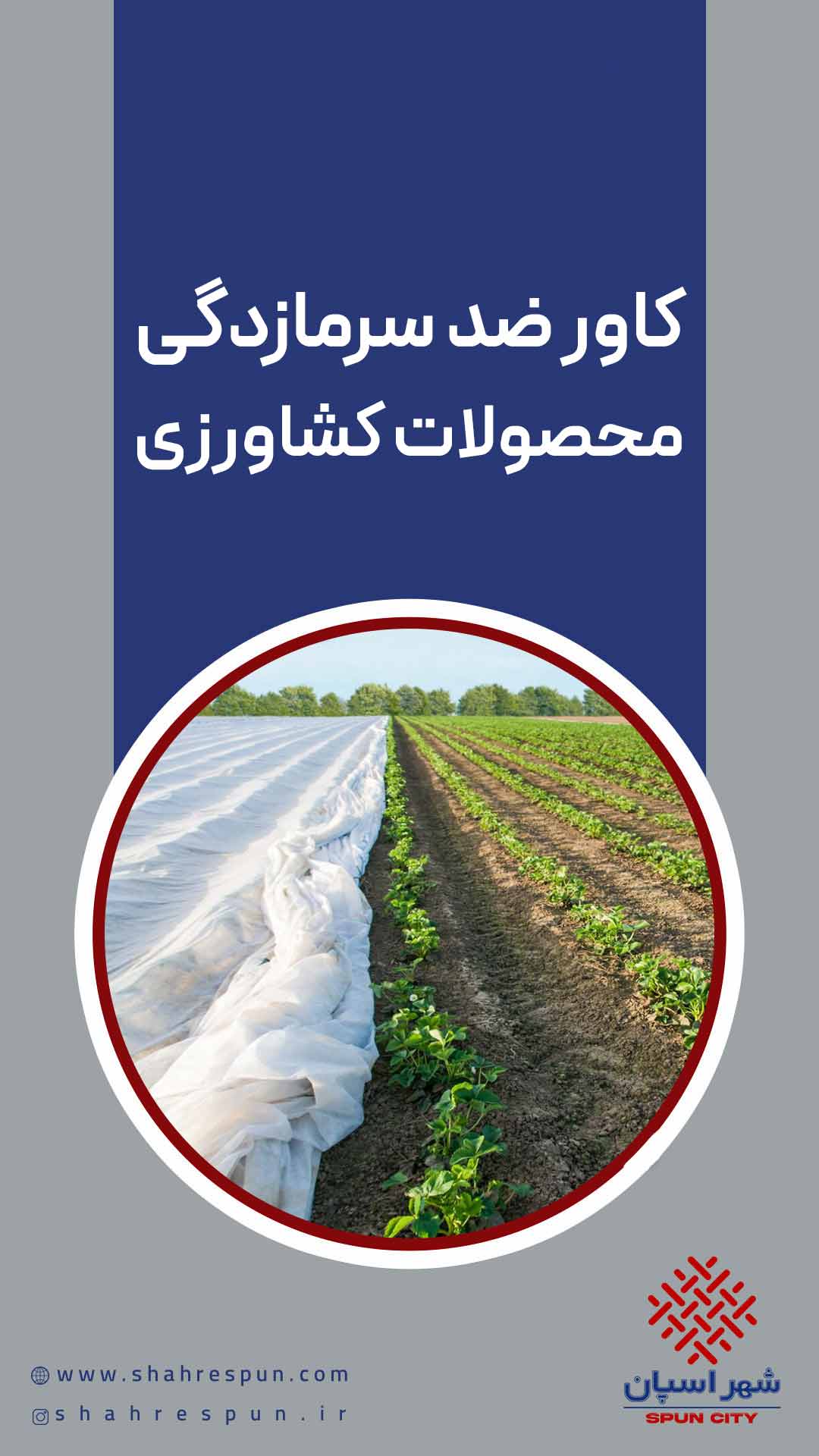 کاور ضد سرمازدگی محصولات کشاورزی: راهکاری موثر...